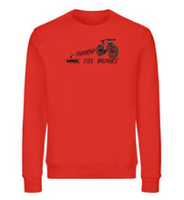 Lade das Bild in den Galerie-Viewer, Hellrot-6230